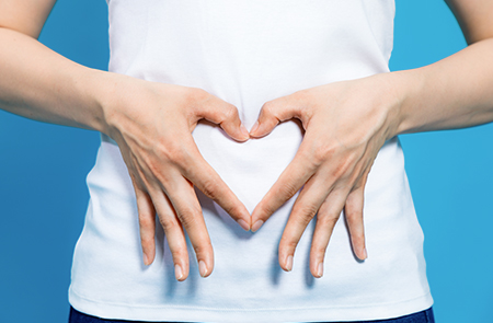 Les protéines interviennent dans la digestion et la régulation des hormones »